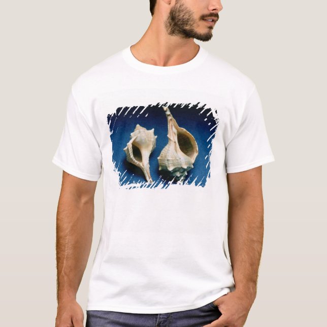 Murex shell T-Shirt (Front)