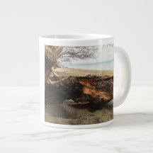 Murphy jette un oeil Mug