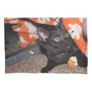 Murphy pillowcase