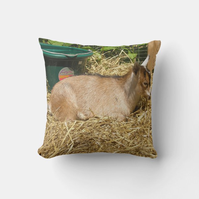 Murphy Throw Pillow (Front)