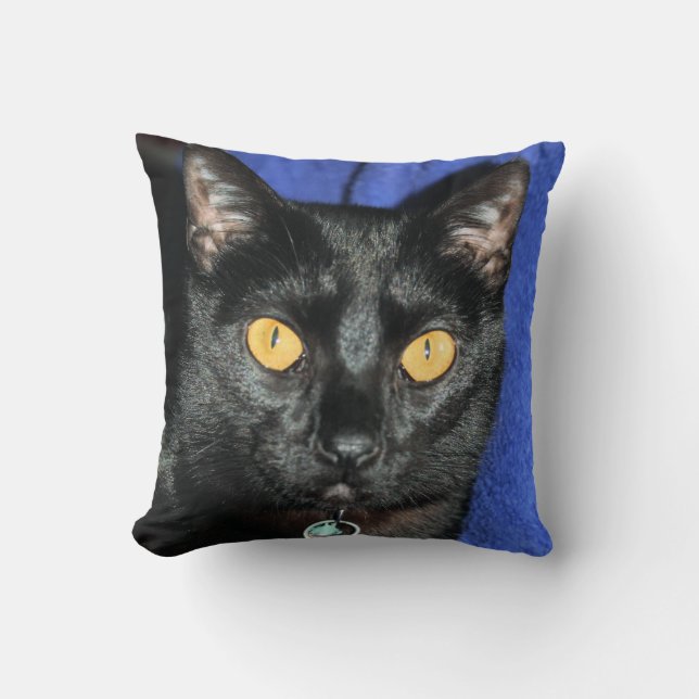 Murphy Throw Pillow (Front)