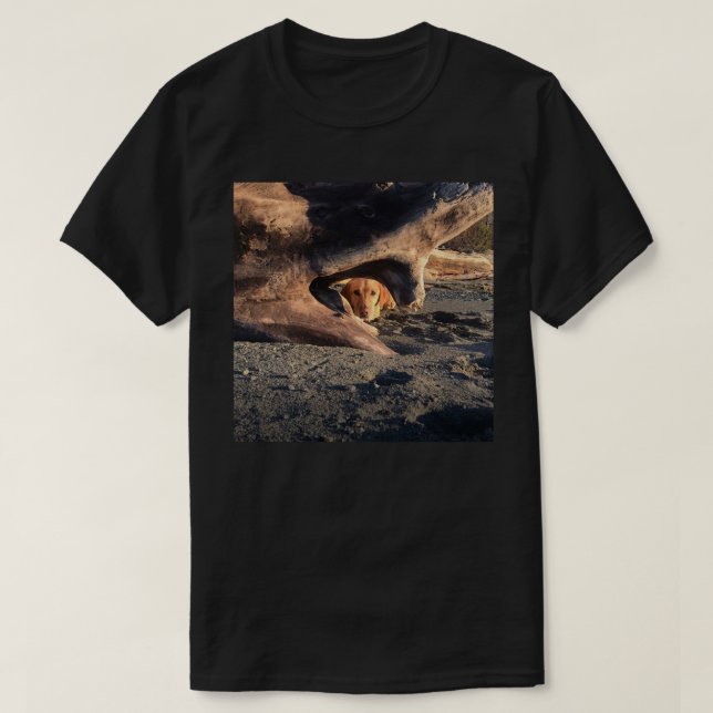 Murphylikestohide T-Shirt (Design Front)
