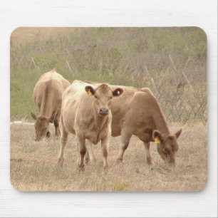 murray greys mouse pad