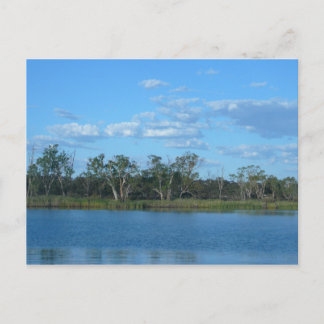 Murray River SA Postcard