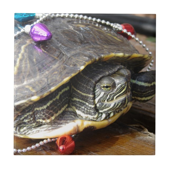 Murtle the Christmas Turtle Tile (Front)