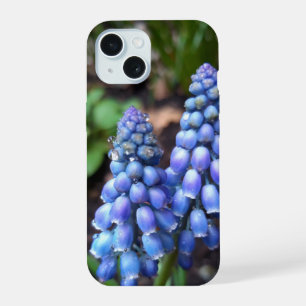 Muscari Armeniacum , Grape Hyacinth with Raindrops iPhone 15 Case