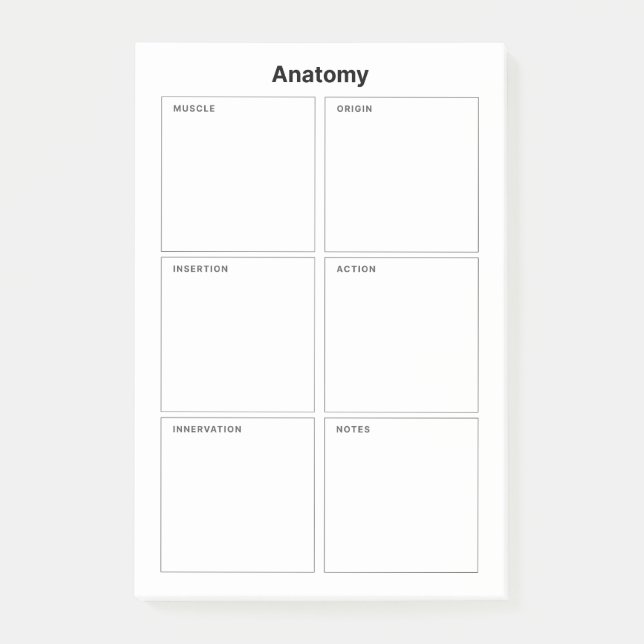 Muscle Anatomy Medical Nursing Student Post-it Notes (Front)