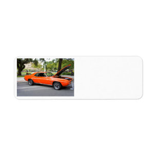 Muscle orange