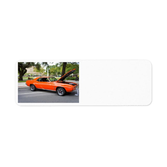 Muscle orange (Devant)
