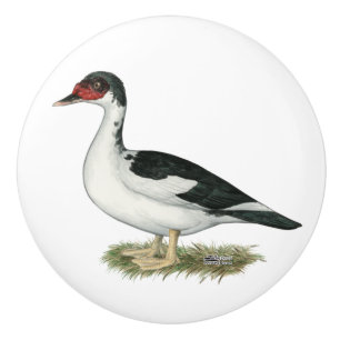 Muscovy Black Pied Duck Ceramic Knob