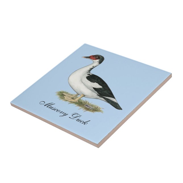 Muscovy Black Pied Duck Tile (Side)