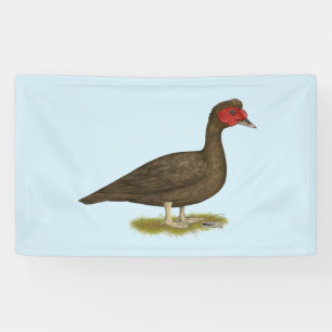 Muscovy Drake Chocolate Banner