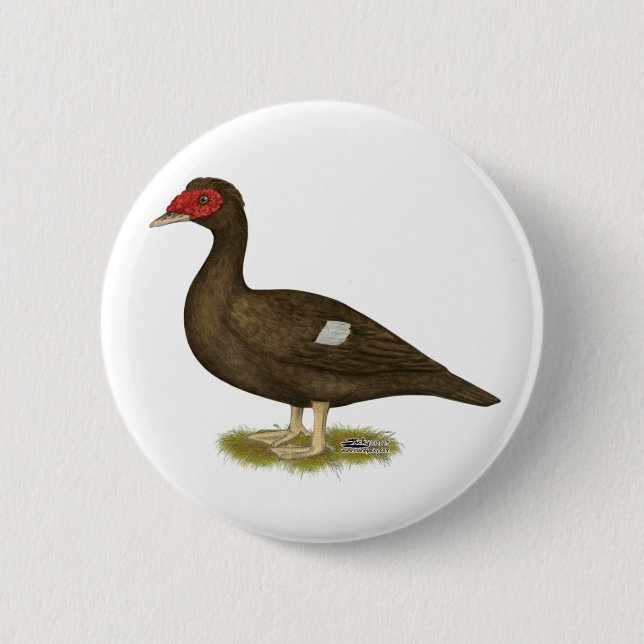 Muscovy Duck Chocolate 2 Inch Round Button (Front)