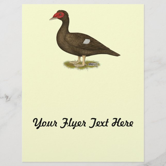 Muscovy Duck Chocolate Flyer (Front)