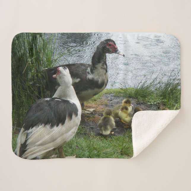 Muscovy Duck Family Sherpa Blanket (Front (Horizontal))