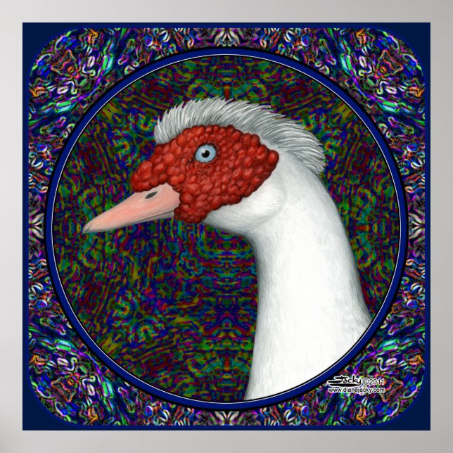 Muscovy Duck Head White Poster (Front)