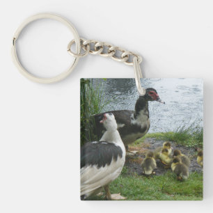 Muscovy Ducks And Ducklings Keychain