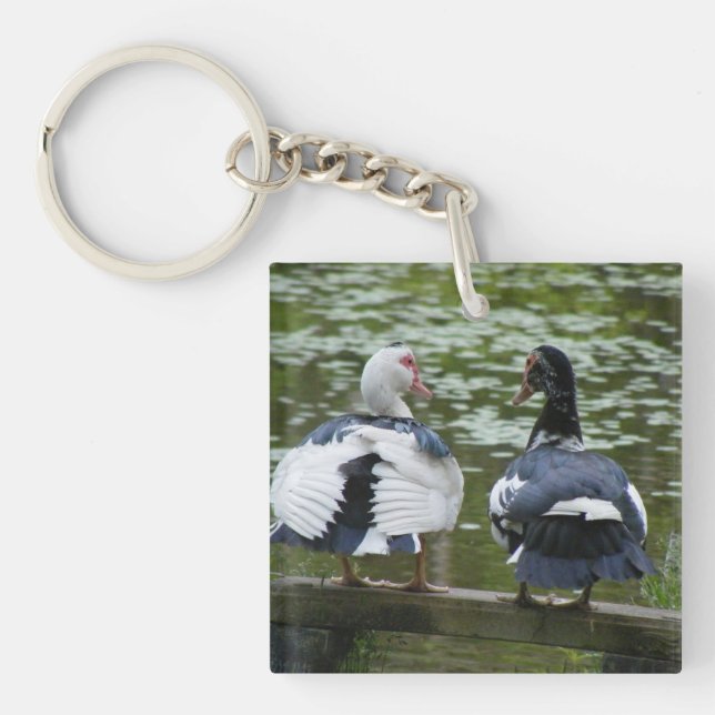 Muscovy Ducks Sitting On A Ornament Keychain (Front)