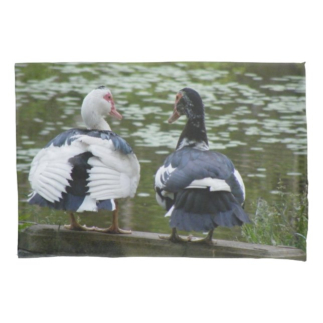 Muscovy Ducks Sitting On An Ornament Pillowcase (Front)