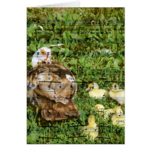 Muscovy Hen and Ducklings With Duckling Song