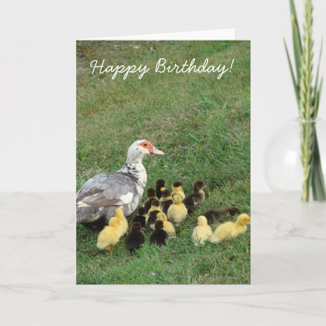 Muscovy Hen With Ducklings, Happy Birthday! Card (Front)