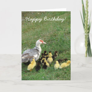 Muscovy Hen With Ducklings, Happy Birthday! Card