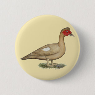 Muscovy Light Chocolate Drake 2 Inch Round Button