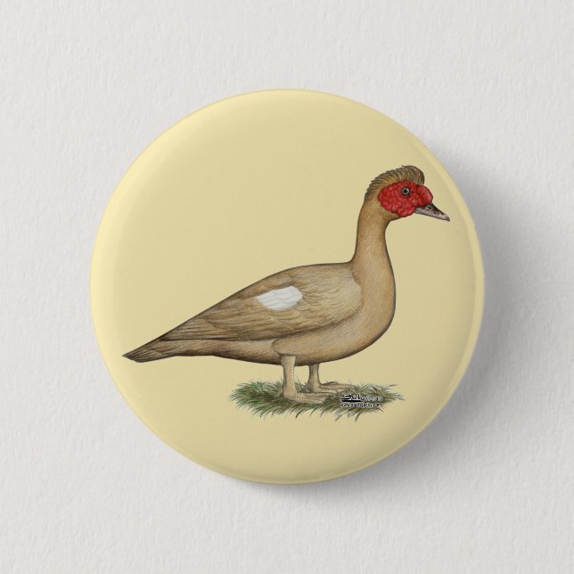 Muscovy Light Chocolate Drake 2 Inch Round Button (Front)