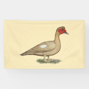 Muscovy Light Chocolate Drake Banner