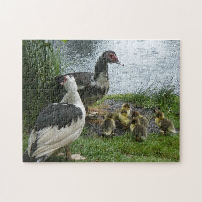 Muscovy Moms Et Ducklings Puzzle (Horizontal)