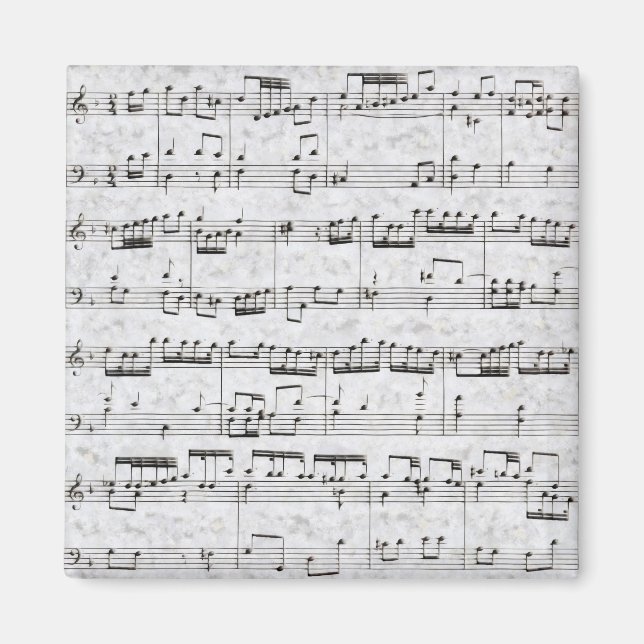 Muscy Magnet (Front)