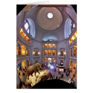 Musée d'histoire naturelle