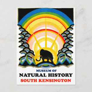 Museum of Natural history, South Kensington Postcard
