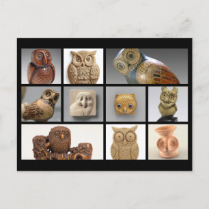 Museum Owl Statues/Sculptures Postcard
