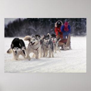 Mush Poster