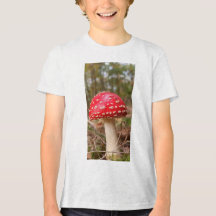 Mushroom 11