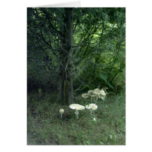 Mushroom Beauty Poem Card