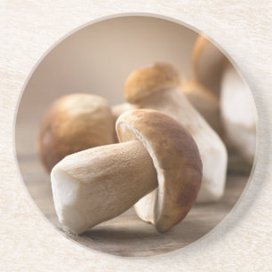 Mushroom Boletus Over Wooden Background. Autumn Coaster