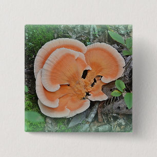 Mushroom Button