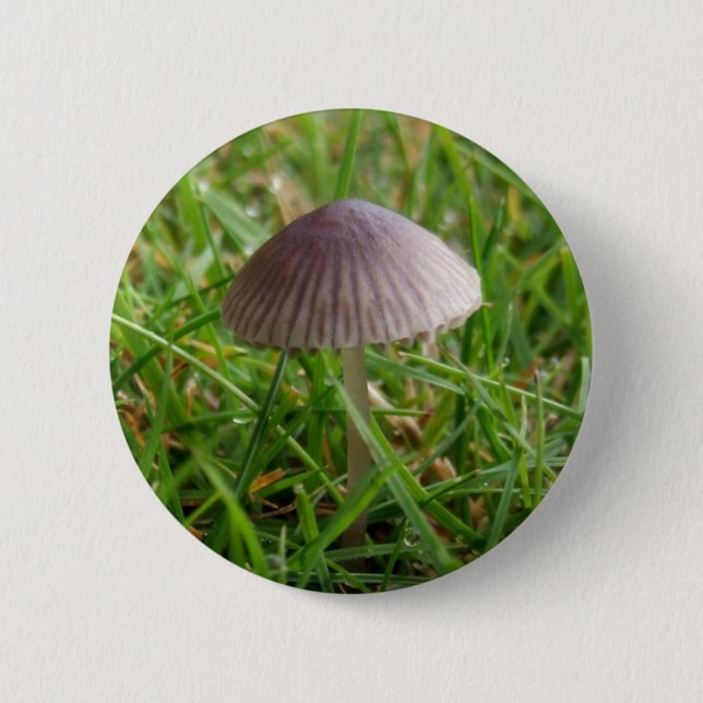 Mushroom Button (Front)