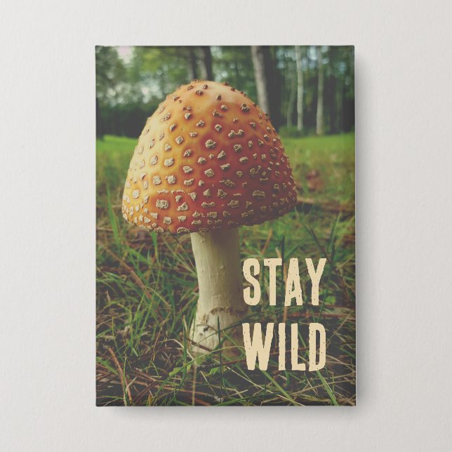 Mushroom button pin (Front)