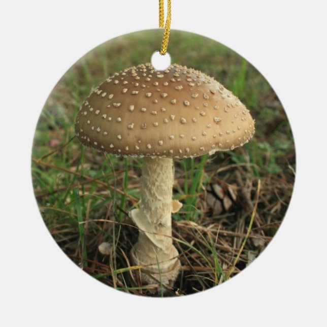 Mushroom Ceramic Ornament (Front)