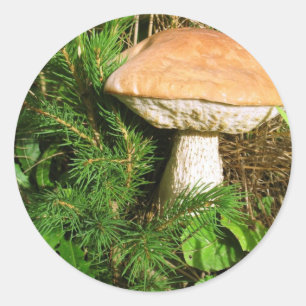 Mushroom Classic Round Sticker