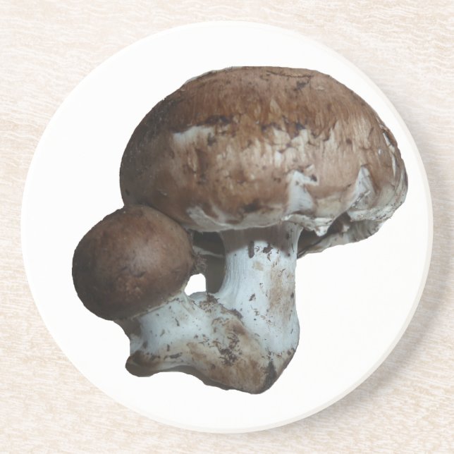 Mushroom Coasters (Front)