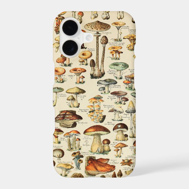 Mushroom Collection (Back)