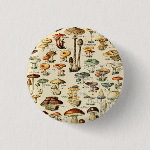 Mushroom Collection  1 Inch Round Button