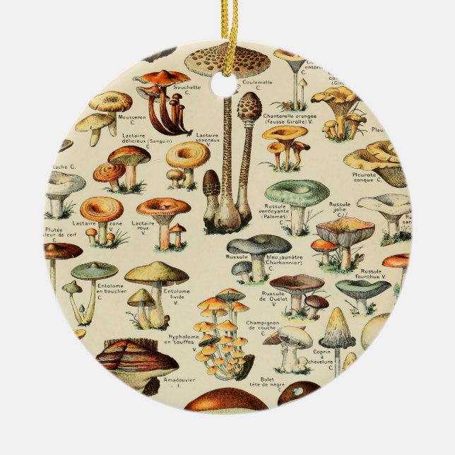 Mushroom Collection   Ceramic Ornament (Front)