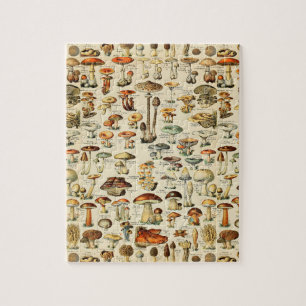Mushroom Collection  Jigsaw Puzzle