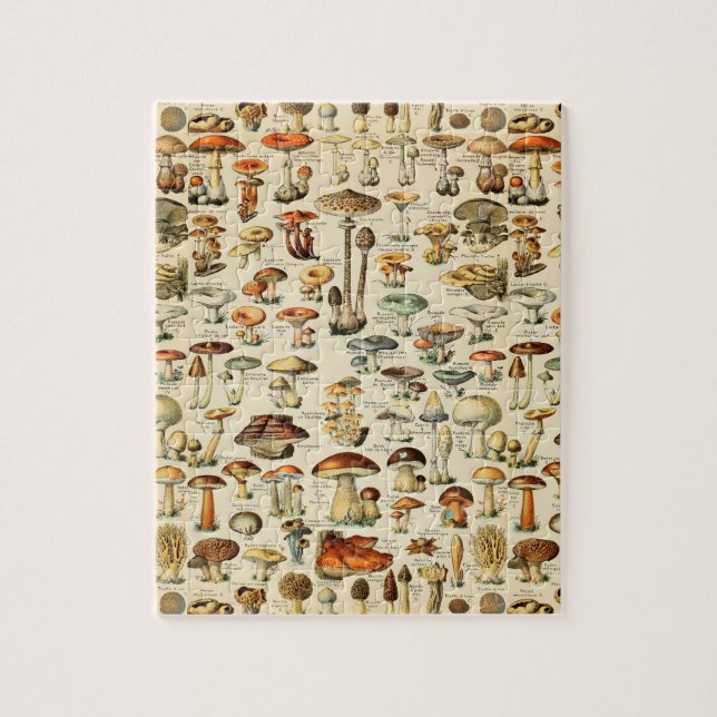 Mushroom Collection  Jigsaw Puzzle (Vertical)