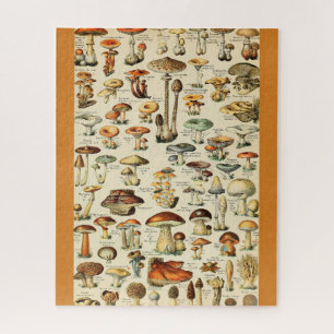 Mushroom Collection Jigsaw Puzzle